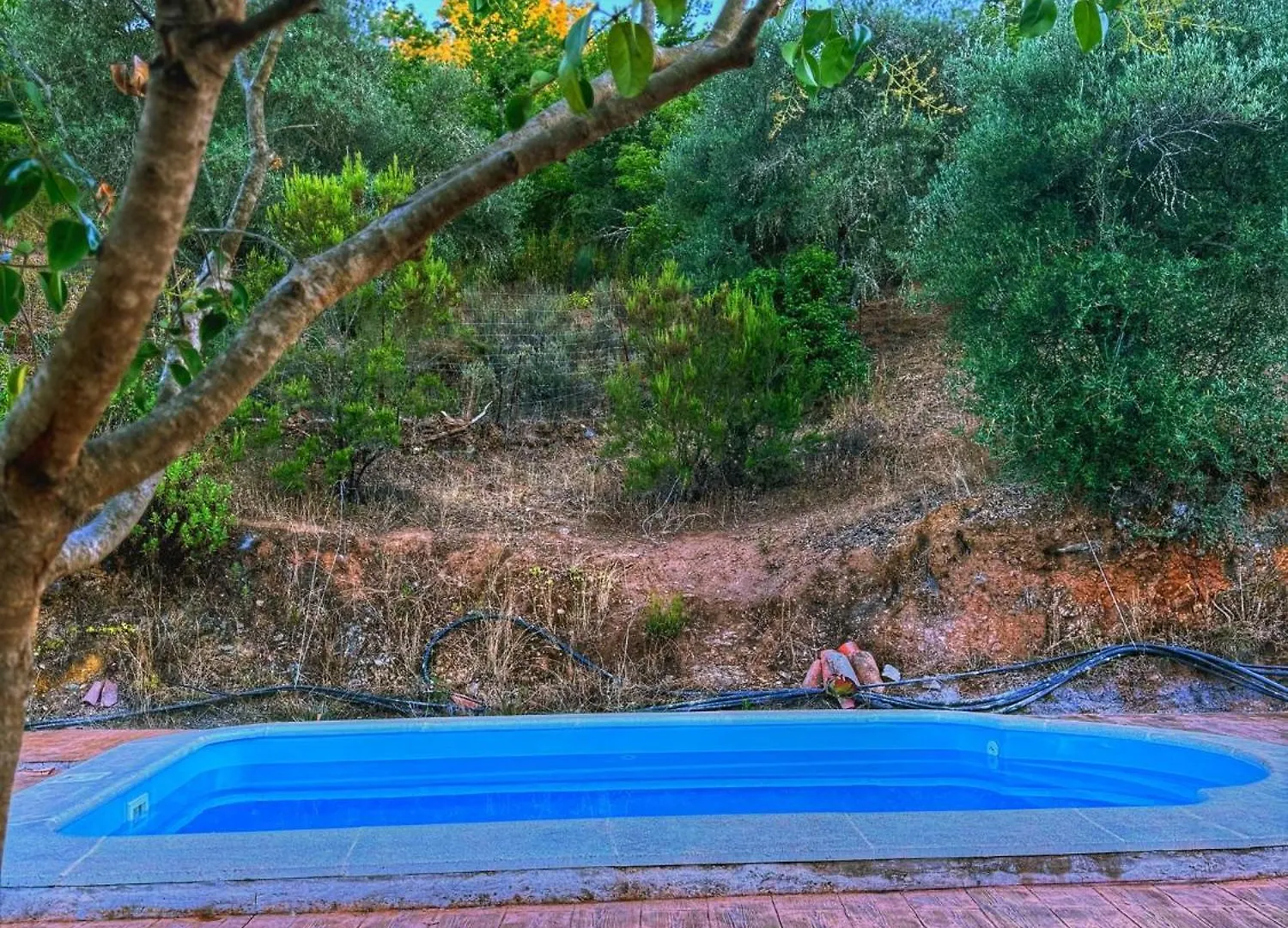 Finca Charco La Olla Jabugo 0*,
