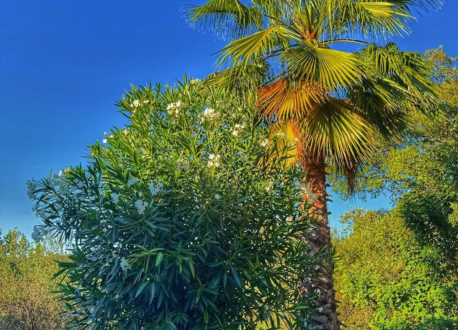 חבוגו Finca Charco La Olla בקתה