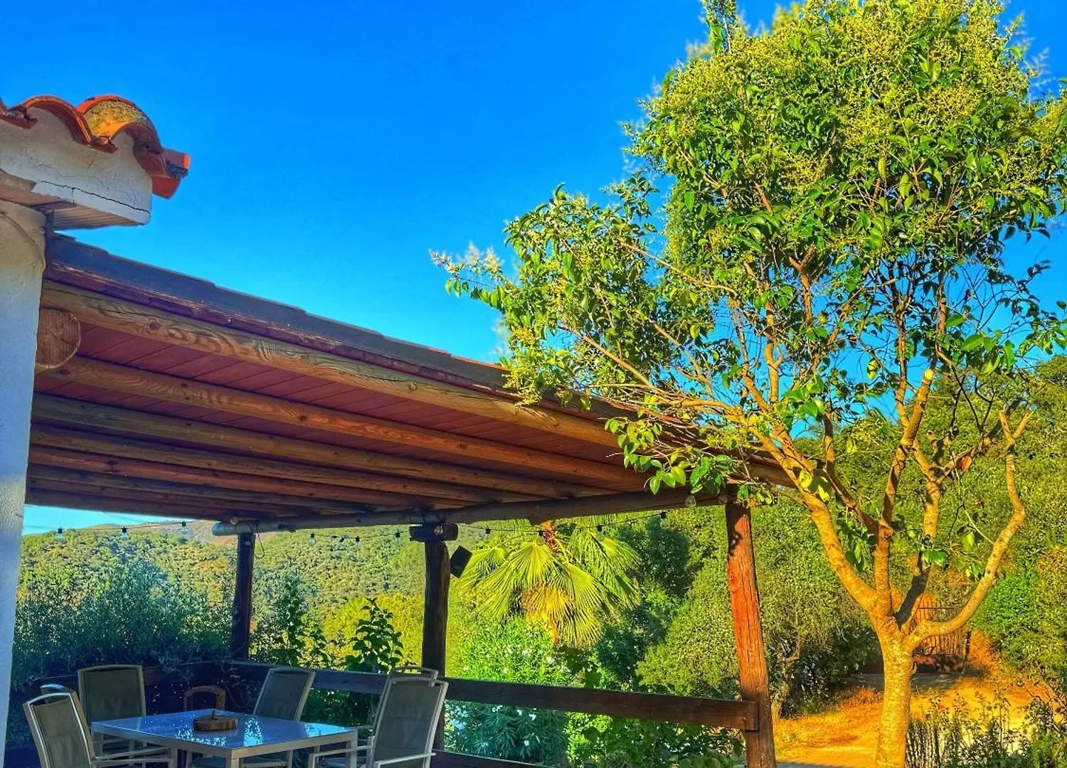 חבוגו Finca Charco La Olla ספרד